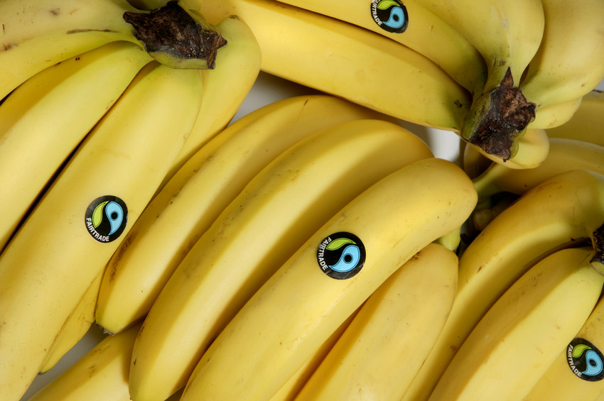 Banane certificate con il marchio Fairtrade