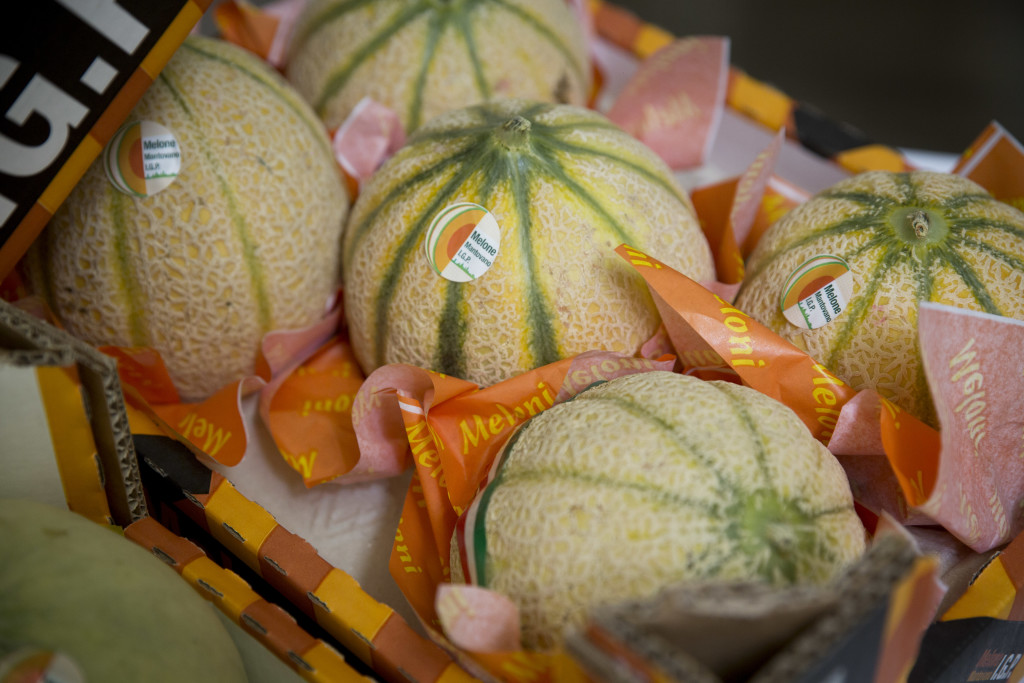 In rialzo i prezzi del melone: sul mercato è presente molto prodotto della Lombardia, uno degli areali vocati per la produzione