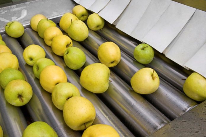 Domanda elevata e prezzi stabili per le mele, presenti sui mercati con buona qualità del prodotto