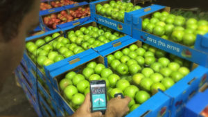 La fotocamera dello smartphone e uno spettrometro consentono di incamerare i dati sulla frutta e verdura