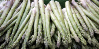 E' prossima a entrare nel vivo nel vivo la stagione degli asparagi, che si mantengono per ora su prezzi stabili