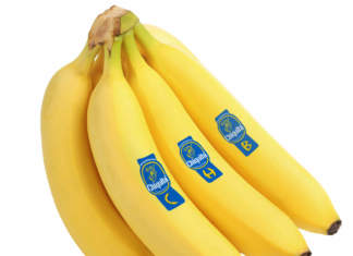La banana Chiquita, con l'inconfondibile marchio blu, leader di mercato