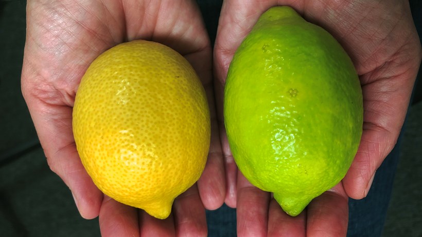 Limoni verdi di Tesco