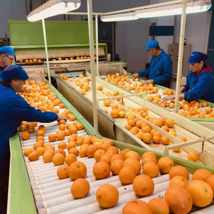L'esportazione di arance cresce a due cifre nel 2020