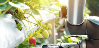 Le soluzioni innovative proposte dalle start up attingono dalle circa 300 tecnologie dell'agricoltura 4.0