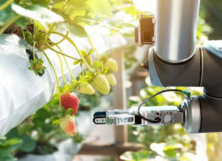 Le soluzioni innovative proposte dalle start up attingono dalle circa 300 tecnologie dell'agricoltura 4.0