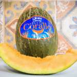Il melone Corallo, dal colore arancione intenso, uno dei vincitori della medaglia d'oro. E' stato lanciato quest'anno con il marchio Orto di Eleonora