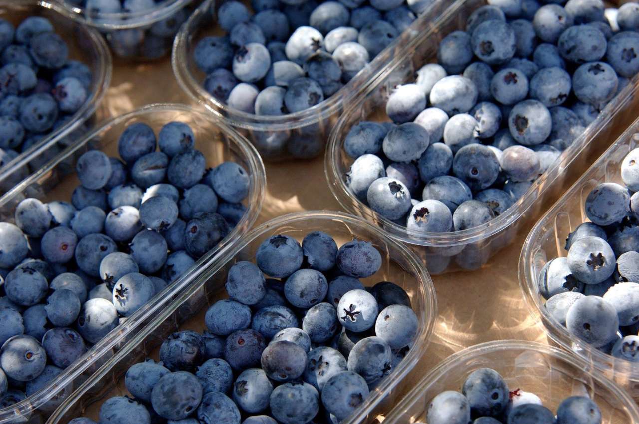 Crea Frutta E Verdura Blu Viola Superfood