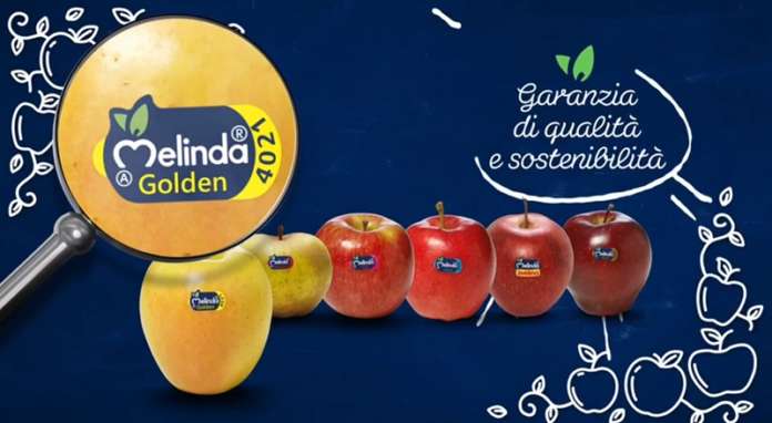 La mela Melinda, dall'inconfondibile Bollino blu, è la prima marca riconosciuta dal 98% degli italiani