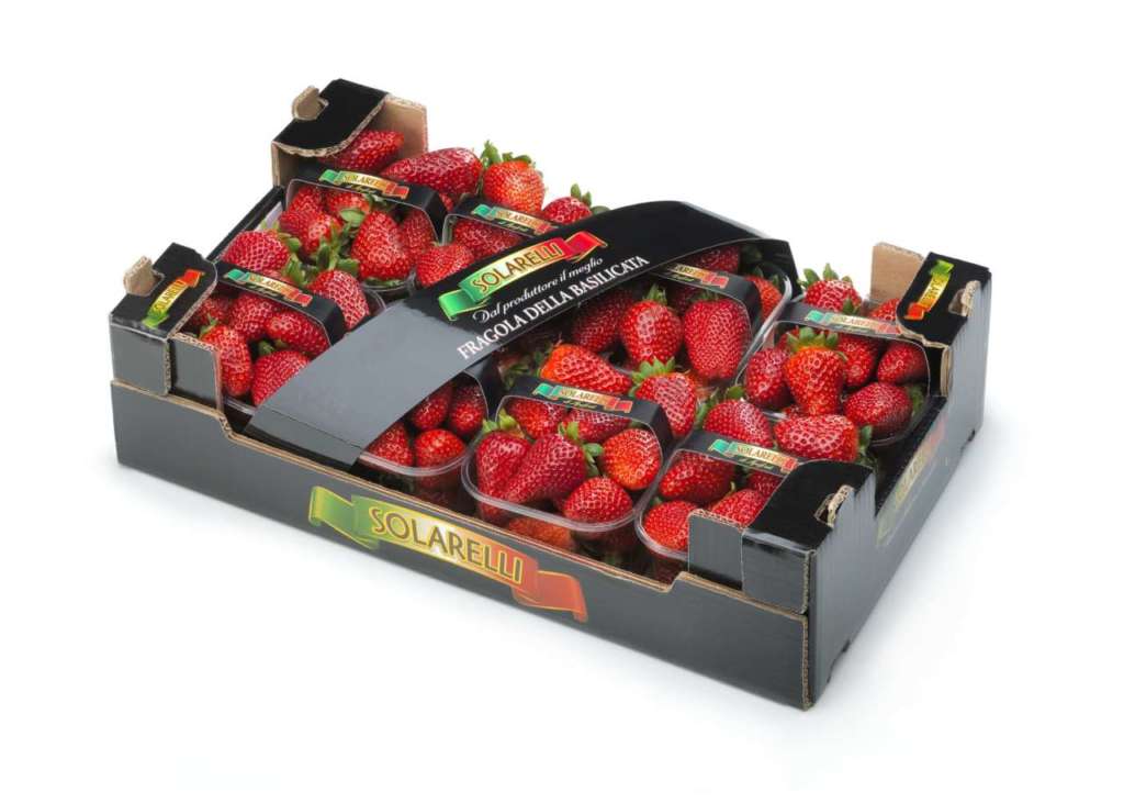 Le fragole Sabrosa, varietà top coltivata nel nostro Paese, con il packaging Attivo! del consorzio Bestack