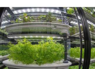 Le serre idroponiche in vertical farming progettate da Infarm, start-up con sede a Berlino