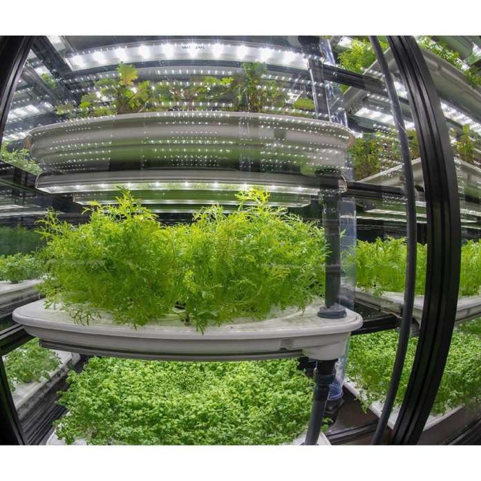 Le serre idroponiche in vertical farming progettate da Infarm, start-up con sede a Berlino
