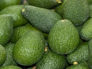 L'avocado conquista fan in tutto il mondo: è presente nel 50% dei menu dei ristoranti americani