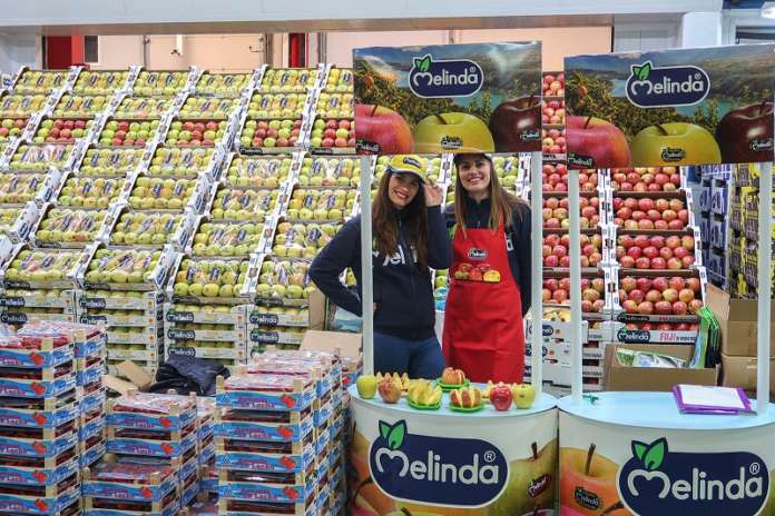 Iniziativa trade al mercato di Malaga. I gestori delle “fruterías” diventano gli ambasciatori della mela dal Bollino Blu