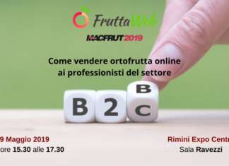 FruttaWeb è società leader in Italia dell’e-commerce per l'ortofrutta