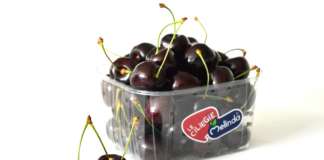 Kordia e Regina sono le principali varietà di ciliegie prodotte dal Consorzio Melinda: il pack riporta l'iconico bollino blu