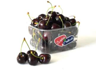 Kordia e Regina sono le principali varietà di ciliegie prodotte dal Consorzio Melinda: il pack riporta l'iconico bollino blu