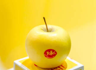 Yello è la mela club, di varietà Shinano Gold, commercializzata in esclusiva dai Consorzi VOG e VI.P. Per la prossima raccolta è previsto un aumento della produzione