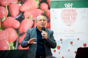 Bruno Mezzetti, del dipartimento di Scienze agrarie, alimentari e ambientali dell’Università Politecnica delle Marche