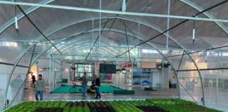 Il Greenhouse Technology Village, un villaggio dell’innovazione orticola in serra, che ospita i principali produttori di tecnologie