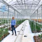 Hazera è azienda leader nel settore delle sementi e svolge molte ricerche sulle zone climatiche. I Paesi Bassi sono uno dei maggiori esportatori di cipolle al mondo