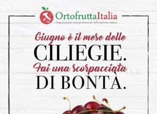 Per la prima volta le ciliegie entrano nel progetto annuale di promozione e comunicazione istituzionale di Ortofrutta Italia e del Mipaaft