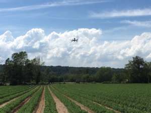 Droni utilizzati in campo. L'agricoltura di precisione è sempre più necessaria per rispondere ai cambiamenti climatici e agli attacchi di patogeni