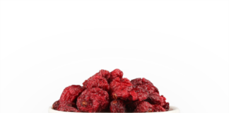 I Crunchy Cranberries, le bacche croccanti di mirtillo rosso di Ocean Spray, hanno usi versatili