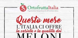 I manifesti posti nei punti vendita della gdo, negozi specializzati e di “prossimità", illustrano le principali tipologie di melone italiano presenti sul mercato