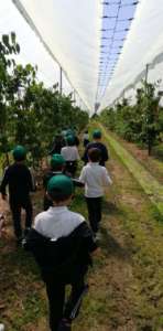 I bambini in visita all'azienda agricola Terre Sabine per la raccolta delle ciliegie