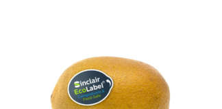 Dalla prossima stagione i kiwi Zespri bio avranno l'etichetta compostabile Sinclair EcoLabel certificata
