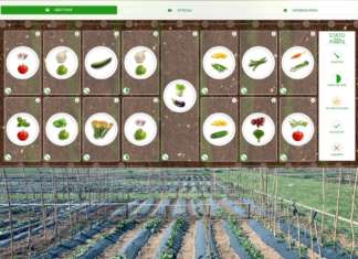 La app creata da Orto 2.0 è dotata di una web cam che permette di monitorare 24 ore su 24 il proprio raccolto