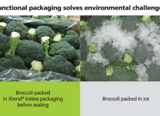 Xtend Iceless è un innovativo imballaggio riciclabile brevettato da StePac, azienda israeliana