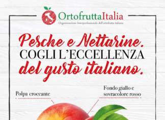 La campagna istituzionale promossa da Ortofrutta Italia punta a sensibilizzare il consumatore alla scelta del prodotto italiano, in sofferenza rispetto a quello spagnolo