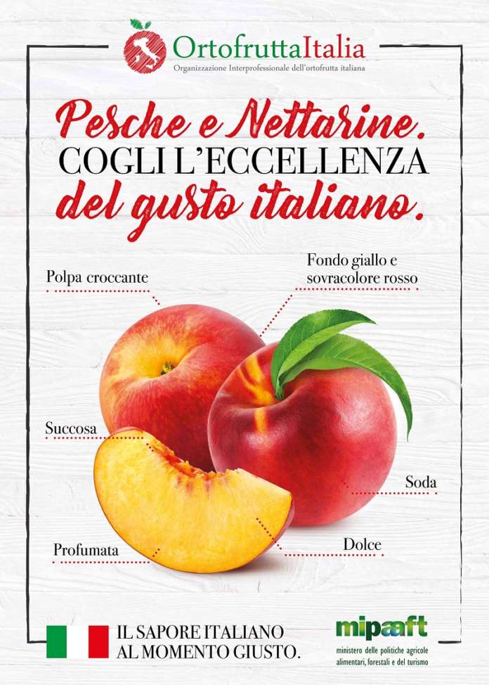 La campagna istituzionale promossa da Ortofrutta Italia punta a sensibilizzare il consumatore alla scelta del prodotto italiano, in sofferenza rispetto a quello spagnolo