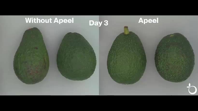 La soluzione vegetale di Apeel Sciences può arrivare a raddoppiare e triplicare la shelf-life di molti prodotti ortofrutticoli