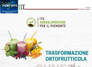 Il termine per la presentazione delle candidature al corso Its della trasformazione ortofrutticola, che si svolgerà a Cuneo, è il 9 ottobre 2019