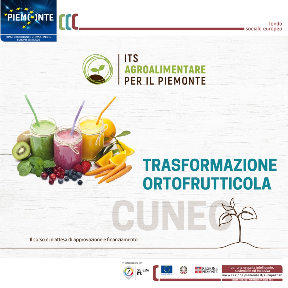 Il termine per la presentazione delle candidature al corso Its della trasformazione ortofrutticola, che si svolgerà a Cuneo, è il 9 ottobre 2019