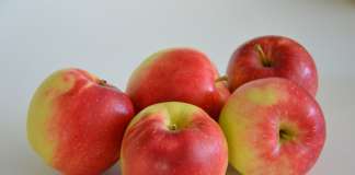 SweeTango è una varietà di mela dolce e aspra con inedita croccantezza