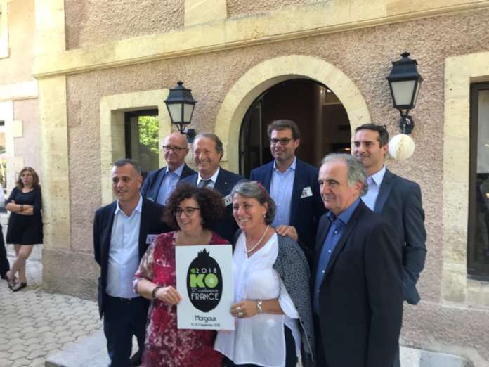 L'Italia parteciperà, a Torino, all’International Kiwifruit Organization, con una folta delegazione