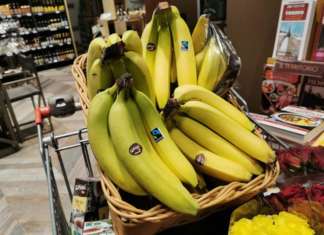 Le banane Solidal Nova Coop