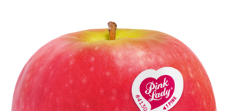 La mela Pink Lady, succosa e croccante, è coltivata in Italia soprattutto in Emilia-Romagna, Veneto e Trentino-Alto Adige