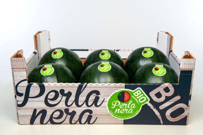 Da giugno 2020 l'anguria Perla Nera bio sarà nella gdo commercializzata da Canova
