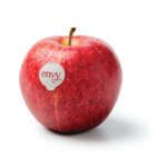 La mela envy commercializzata dai consorzi VOG e VI.P arriva alla nuova stagione con maggiori quantitativi: superano le 4 mila tonnellate