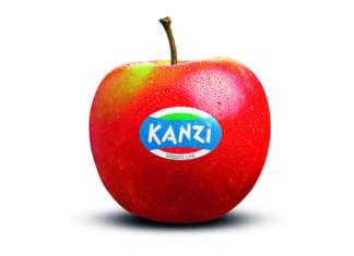Croccante e succosa, un perfetto bilanciamento tra acidità e dolcezza, la mela club Kanzi, prodotta dai consorzi VOG e VI.P piace a un consumatore giovane