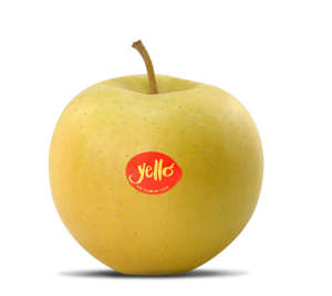 la commercializzazione della mela yello partirà dal 27 novembre