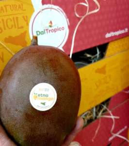Il nuovo brand della produzione isolana, Etna Mango