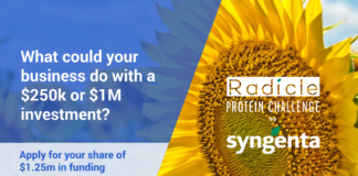 Le domande per partecipare a The Radicle Protein Challenge possono essere presentate fino al 29 maggio 2020
