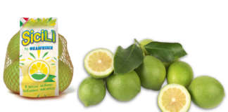 Sicilì, il limone dell'Etna di Oranfrizer debutterà sul mercato nelle prossime settimane