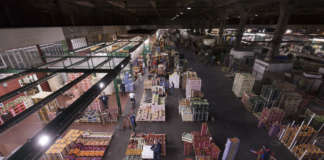 Foody, mercato ortofrutticolo di Milano